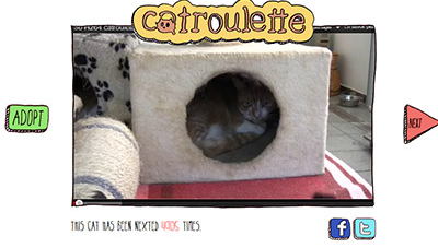 Site de rencontre chat animaux