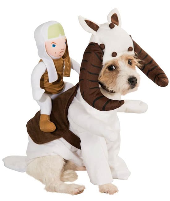 starwars-costume-tauntaun-pour-chien