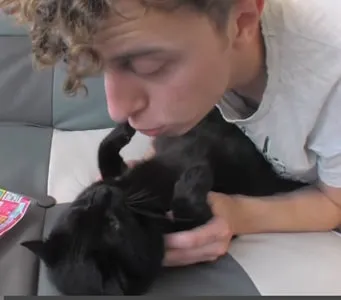 Video norman, avoir un chat