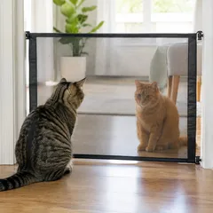 Deux chats qui s'observent calmement à travers une barrière grillagée posée dans l'encadrement d'une porte