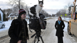 Reportage à Bonnyville : un chat s’invite… sur la caméra