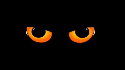 Les yeux des chats brillent dans la nuit, pourquoi ?