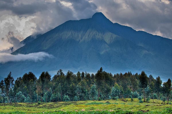 Volcanoes National Park, Virunga Mountains, Rwanda