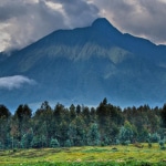 Volcanoes National Park, Virunga Mountains, Rwanda