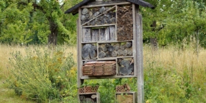 Qu’apporte un hôtel à insectes à votre jardin ?