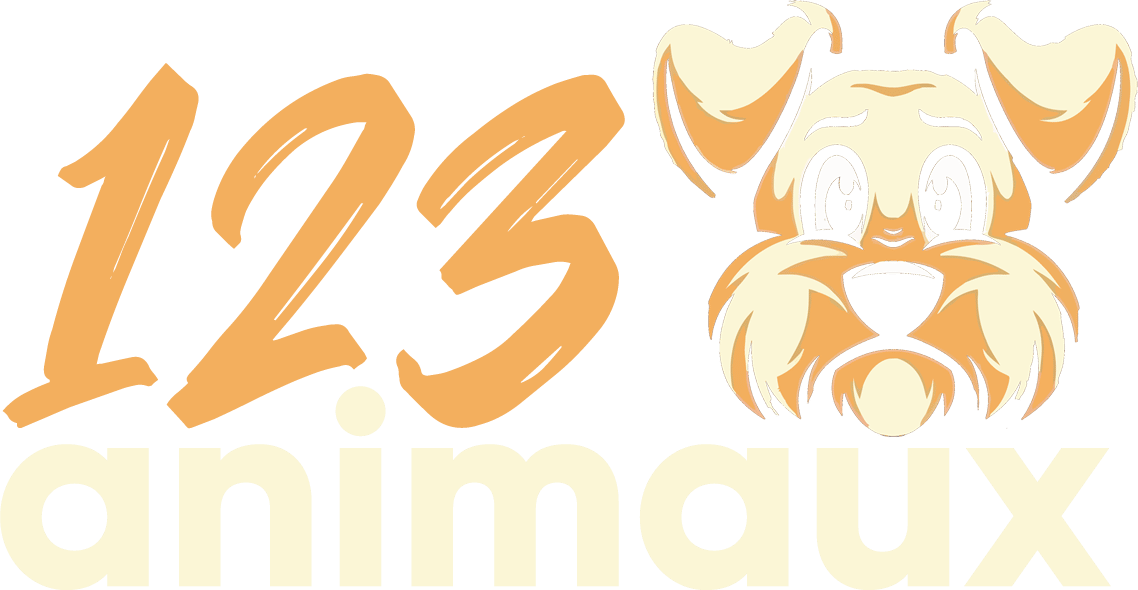 Portail animaux de compagnie – chat ou chien, lapin ou hamster etc …